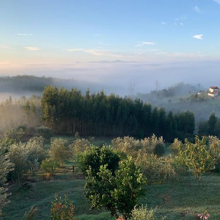 ホテル Quinta Lagares ペナコーヴァ エクステリア 写真