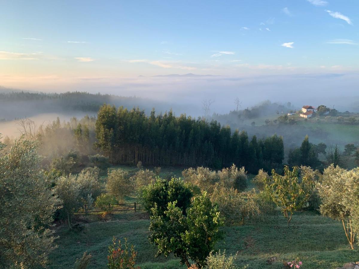 ホテル Quinta Lagares ペナコーヴァ エクステリア 写真